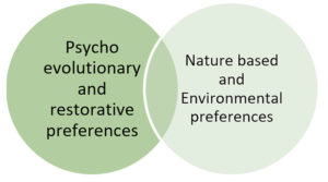 Defining Biophilic Design in Architecture & Theories Related to Biophilia